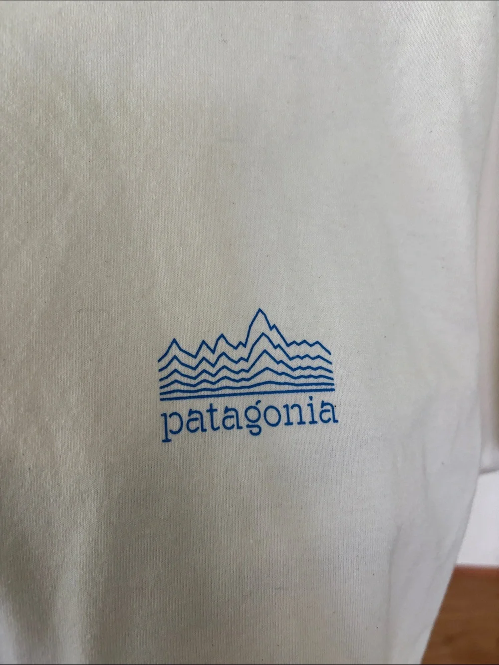 Patagonia Cream Short-Sleeve T-Shirt with Small Blue Logo